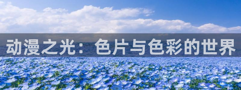 l里番动漫：动漫之光：色片与色彩的世界