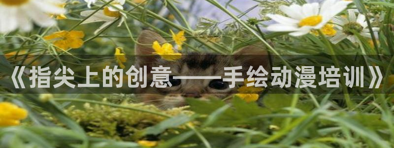 黑丝动漫里番：《指尖上的创意——手绘动漫培训》